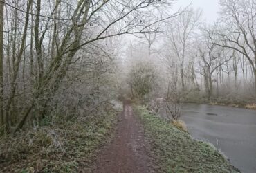 Bois de l'Offlarde 1