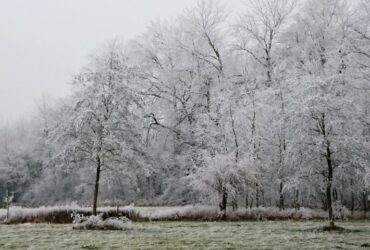 Parc du terril 9