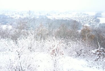 Vue du belvédère 11