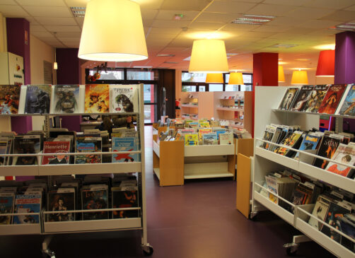 La section bande dessinée