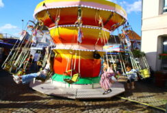 IMG_0568