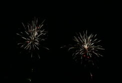 IMG_1310