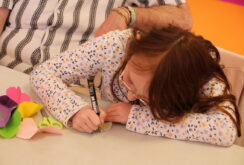 IMG_0545