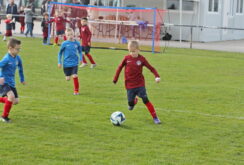 IMG_0567