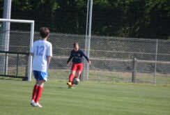 IMG_0246