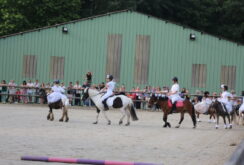 IMG_0303