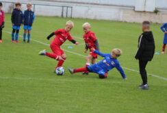 IMG_0213