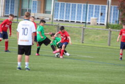 IMG_0852