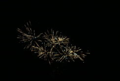 IMG_1403