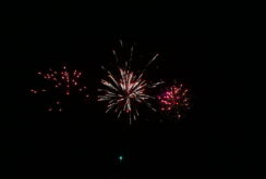 IMG_1451