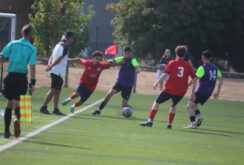 IMG_0554