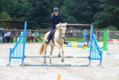 IMG_0284