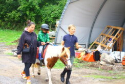 IMG_0337